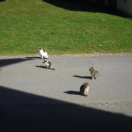 Bauernhof Marx * Gaal