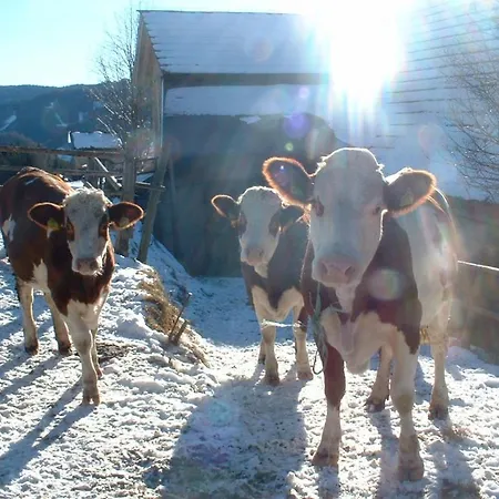 Farmház Bauernhof Marx Gaal