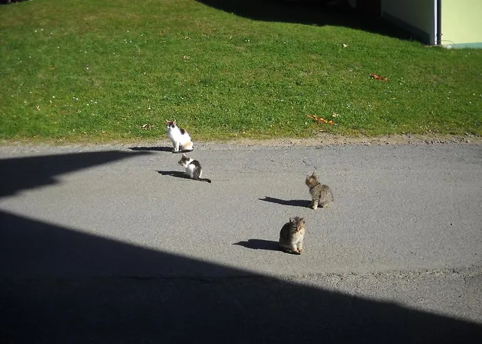 Bauernhof Marx * Gaal