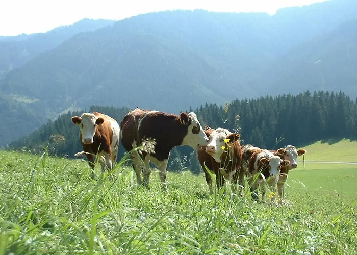 Farm stay Bauernhof Marx