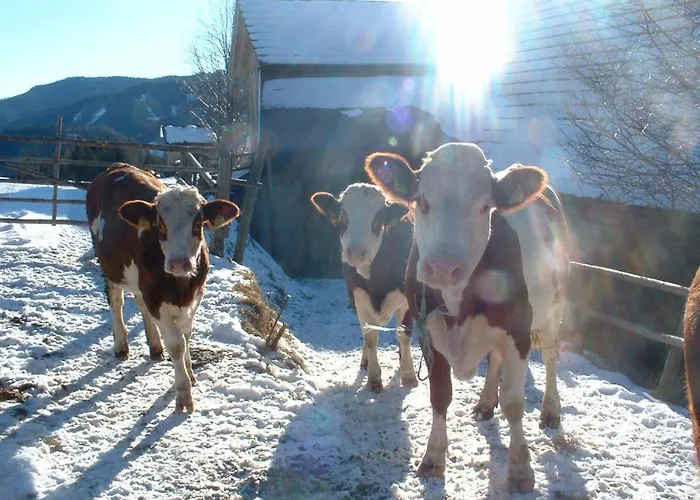Bauernhof Bauernhof Marx Gaal